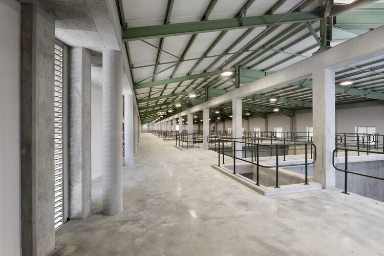 帯水層涵養プラント / SALT Architects - 画像 13/25