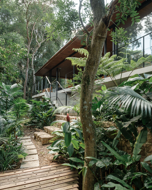 Guapuruvus House / Cornetta arquitetura-外装写真、庭