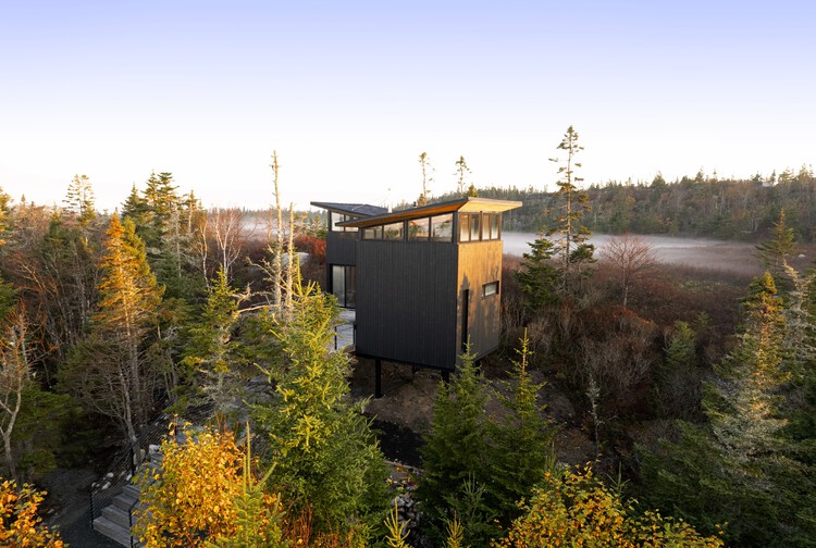 Lambkill Ridge / Peter Braithwaite Studio Ltd. -Exterior Photography、Forest