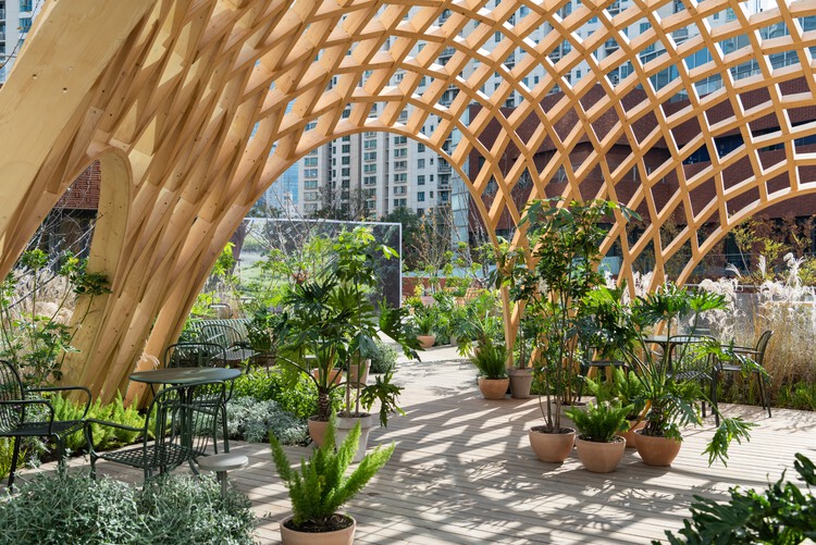 Pac Place -Making / Nota Architects-インテリア写真、木