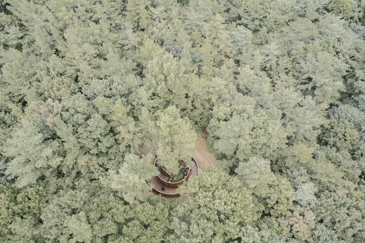 秘密の森の木パビリオン /次の建築家-18の画像2