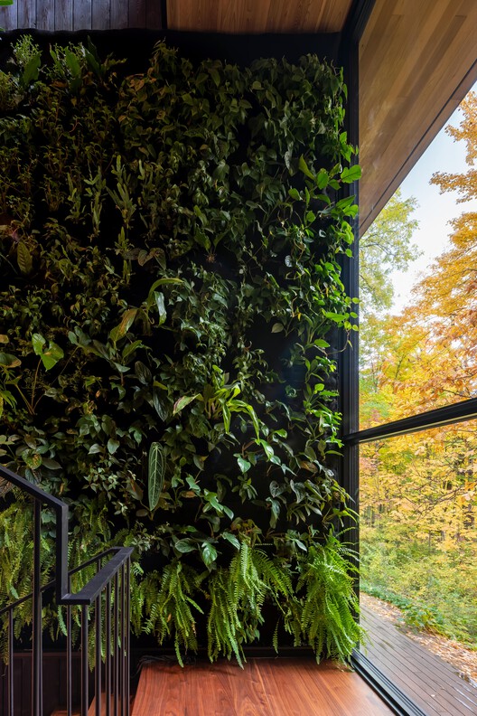 Ravine House / Orangeink Design -Image 12 of 21