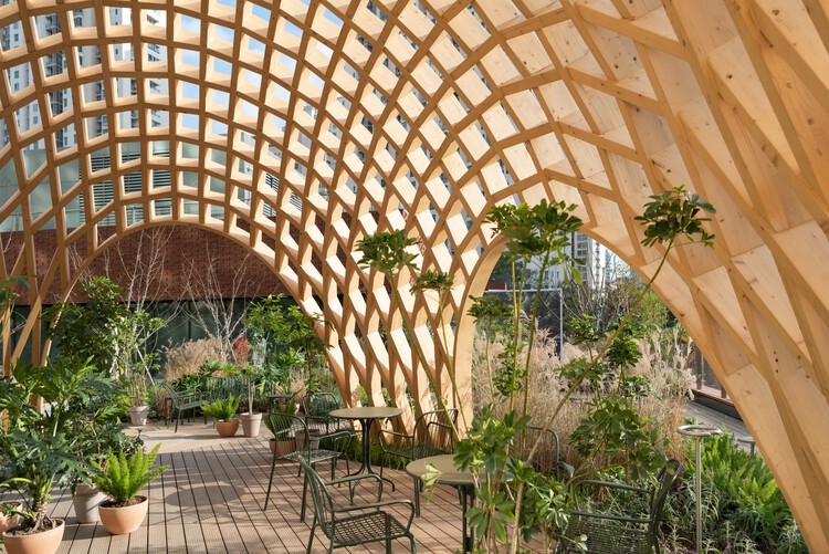 Pac Place -Making / Nota Architects-インテリア写真、木