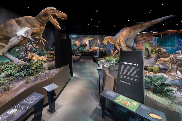Jean＆Ric Edelman Fossil Park＆Museum / Ennead Architects-インテリア写真