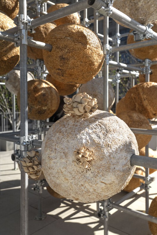 成長する物質（s）パビリオン /ヘニングラーソンアーキテクツ -  19/19の画像4