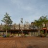 ドラゴンフライリトリート＆カフェ /カントリーハウス。建築