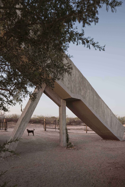 Casa La Paz / Ludwig Godefroy Architecture -Image 9 of 21