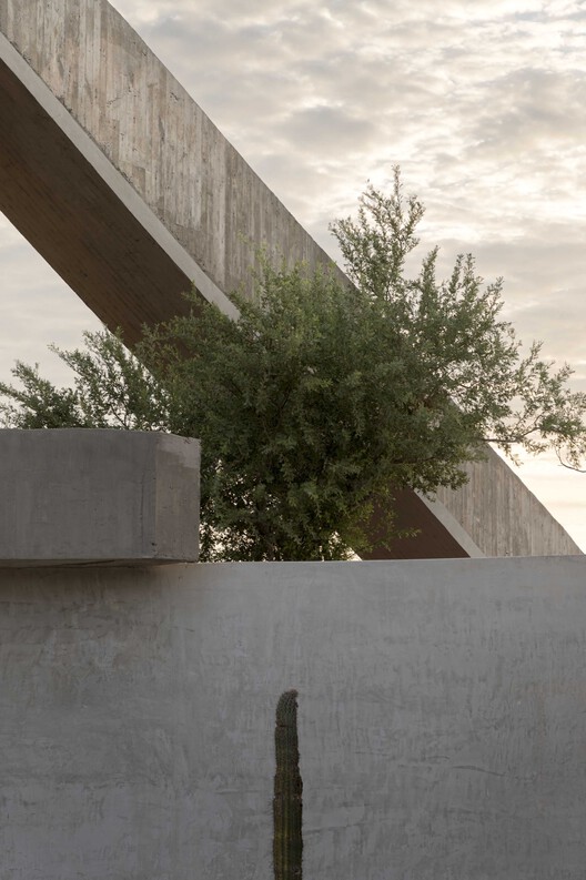 Casa La Paz / Ludwig Godefroy Architecture -Image 10 of 21