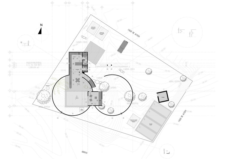 Casa La Paz / Ludwig Godefroy Architecture -Image 19 of 21