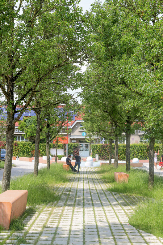 コンテンポラリーガーデンシティ / L'Atelier Dev Architecture -Exterior Photography、Garden