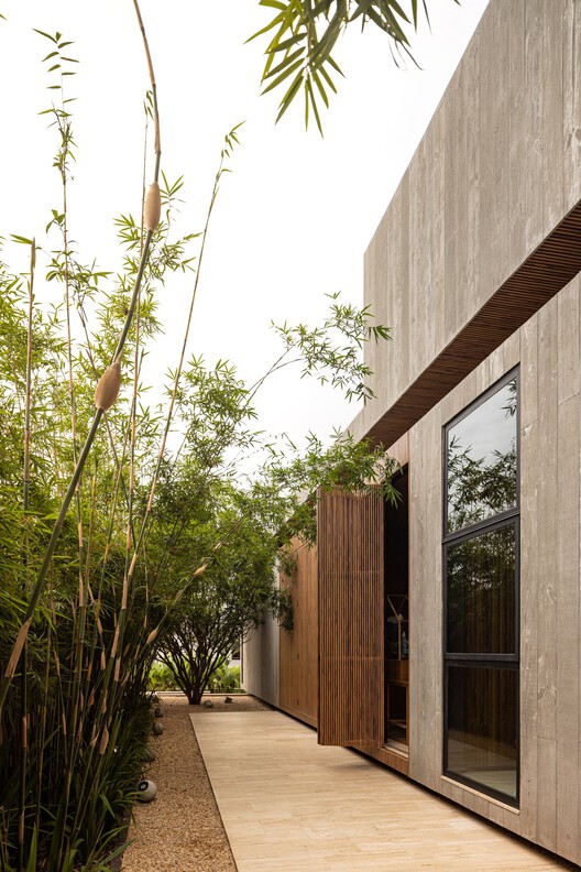 House EJ / Leo Romano-外観写真、木
