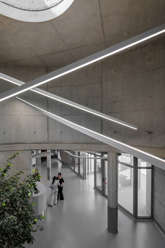 Vet Hospital Tirana / Davide Macullo Architects-インテリア写真