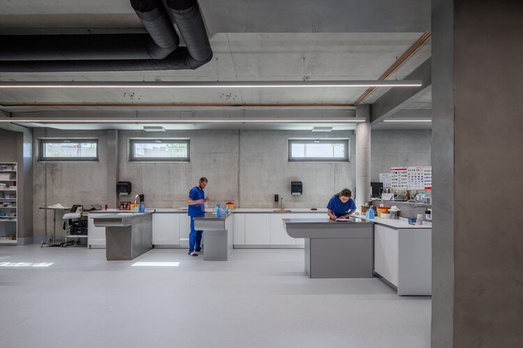 獣医病院Tirana / Davide Macullo Architects-インテリア写真、キッチン