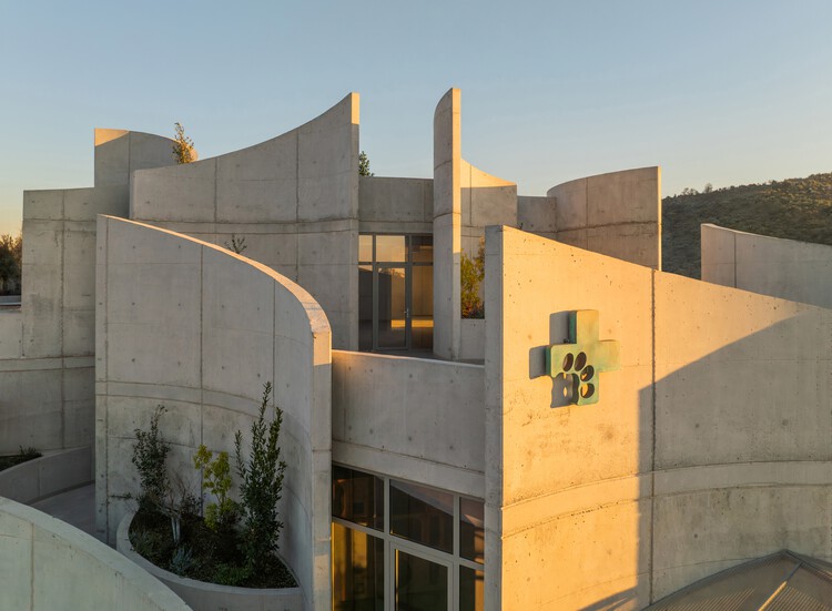 獣医病院Tirana / Davide Macullo Architects-外装写真、コンクリート