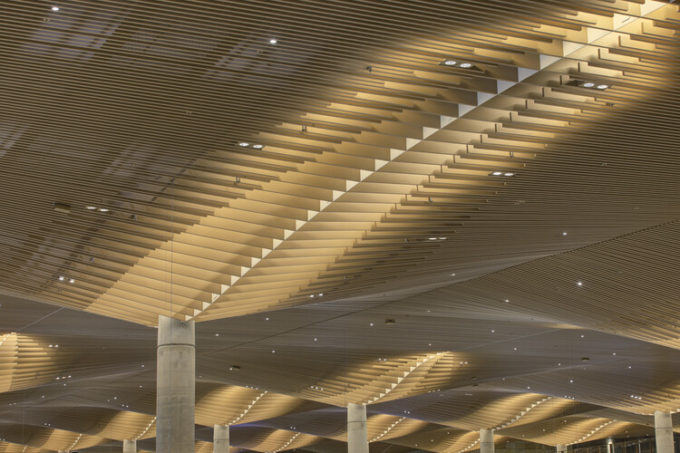 Zaha Hadid Architects、Cox Architecture、およびWoods Bagot Complete Complete Western Sydney International Airport in Australia -Image 14 of 15