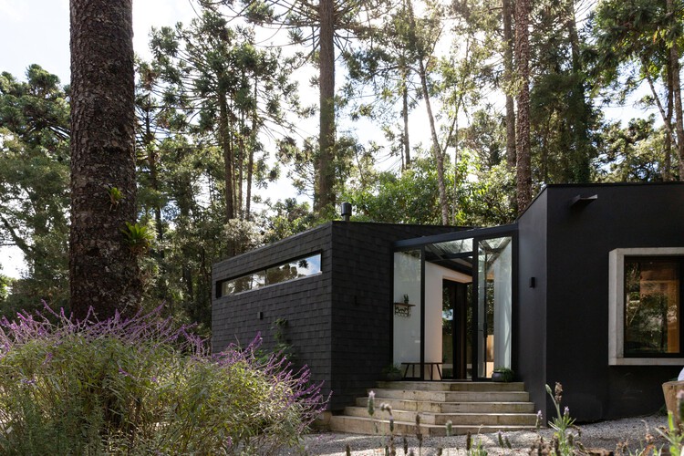 Araucarias House / Arkitito arquitetura-外観写真、ドア