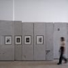 展示「Ideas Fijas」 / Mater + Cecilia Szalkowicz
