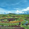 現代の懸念を伴う祖先の遺産：ペルーのワルワル農業畑の背後にある物語