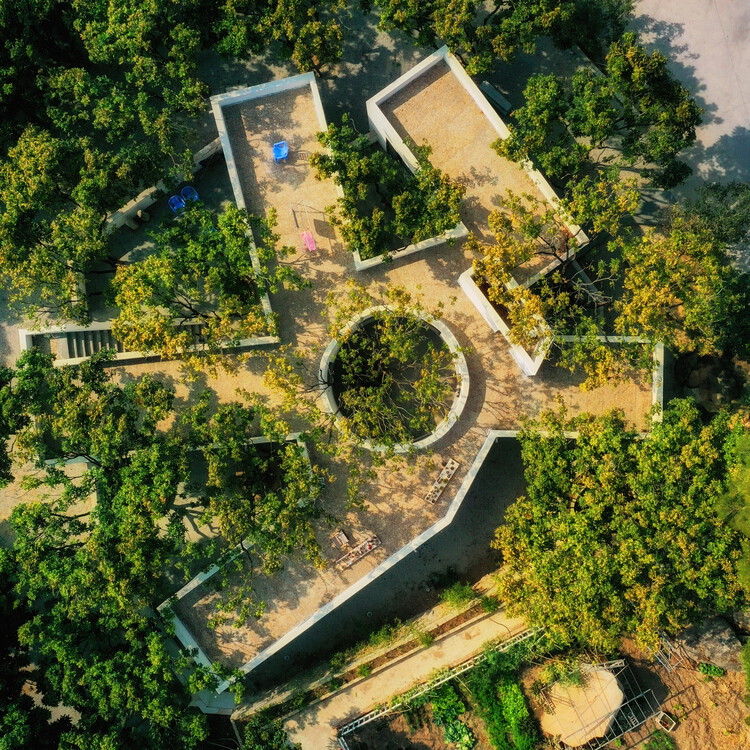 ロンガンの木の下の中庭 /宇宙工場の建築家 - 画像7/38