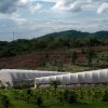 Khanong Phra Campsite / Phtaa Living Design