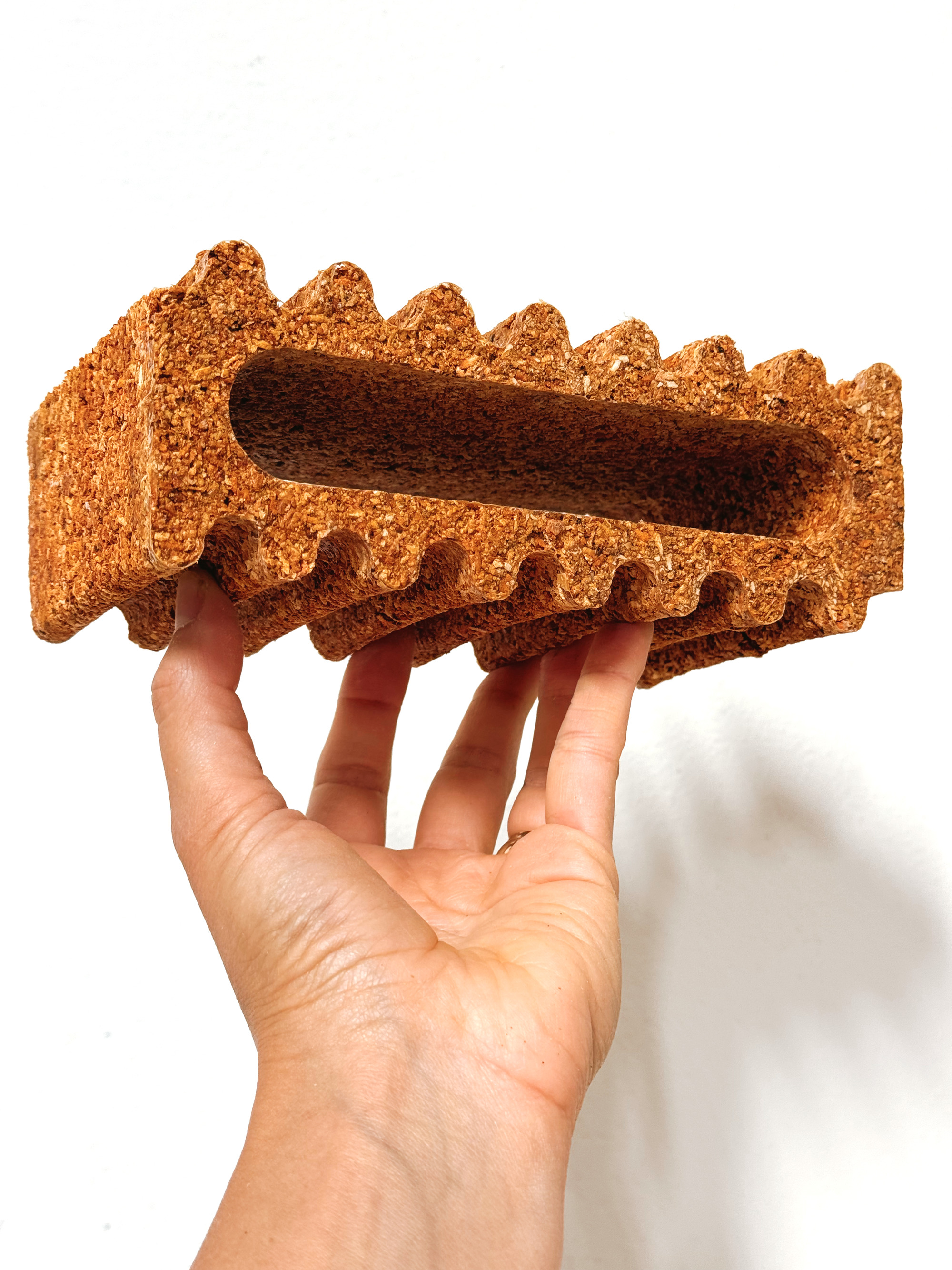 食べ物で作ることはできますか？ Matter Matters Labでの循環実験
