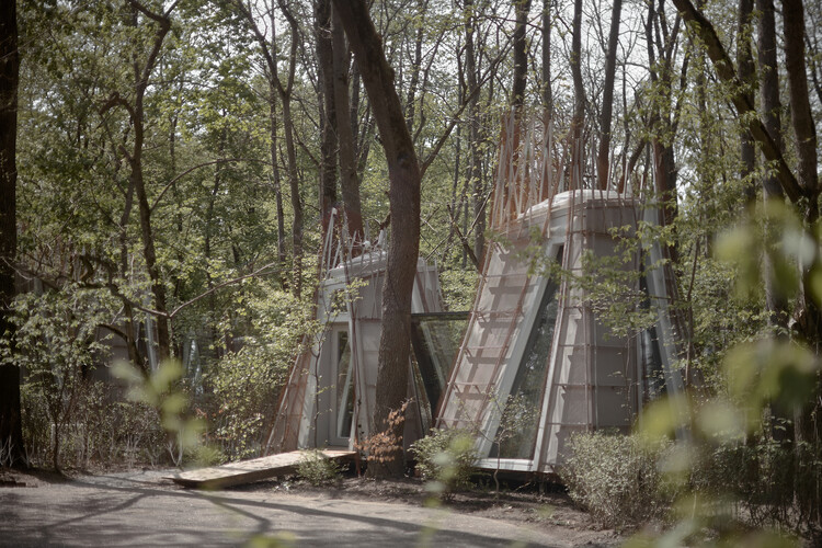 The Namety Cabins / Roman＆Dmytro seliuk-外観写真、木、森