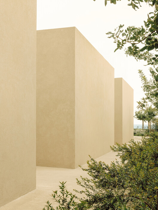 Patio House / Solum Studio- 26の画像1