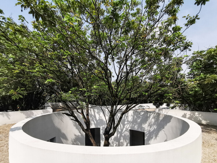 ロンガンの木の下の中庭 /宇宙工場建築家 -  38/38の画像1