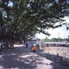 子供時代と祖先：南アメリカの先住民コミュニティが子供の環境について教えてくれること