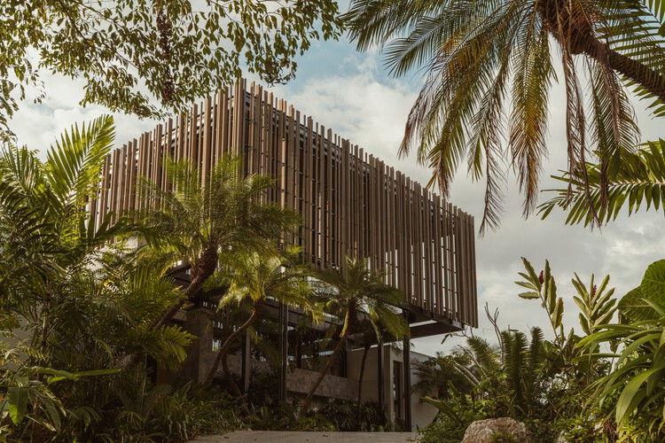 Solai House / Studio Saxe-外装写真